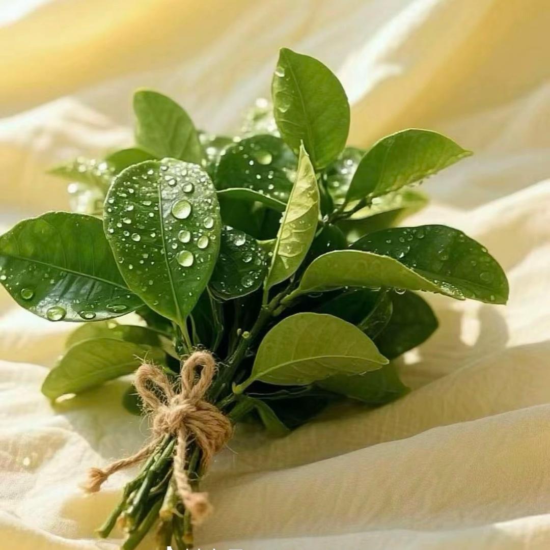 云裳阁高端女装