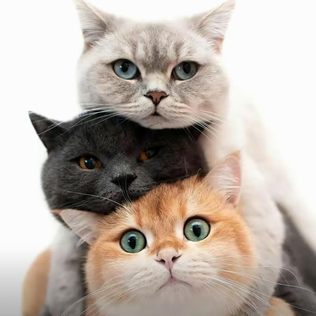 有人和我一起上班吗💼