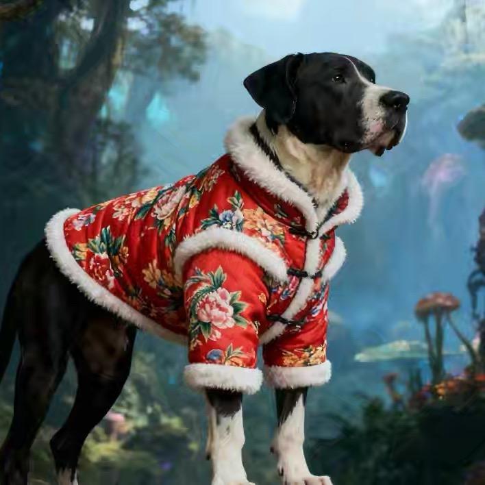 二黑丫♡西北血手