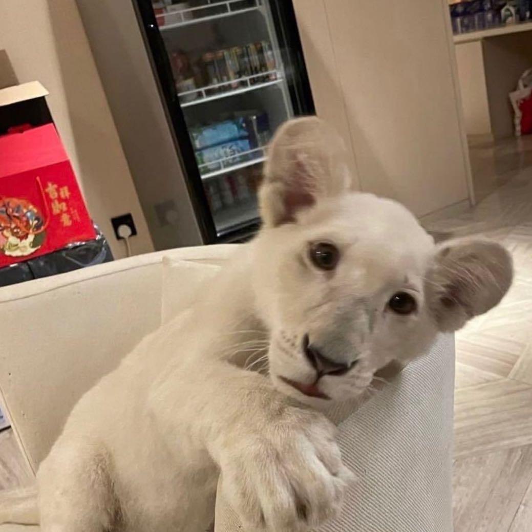 不叫小天