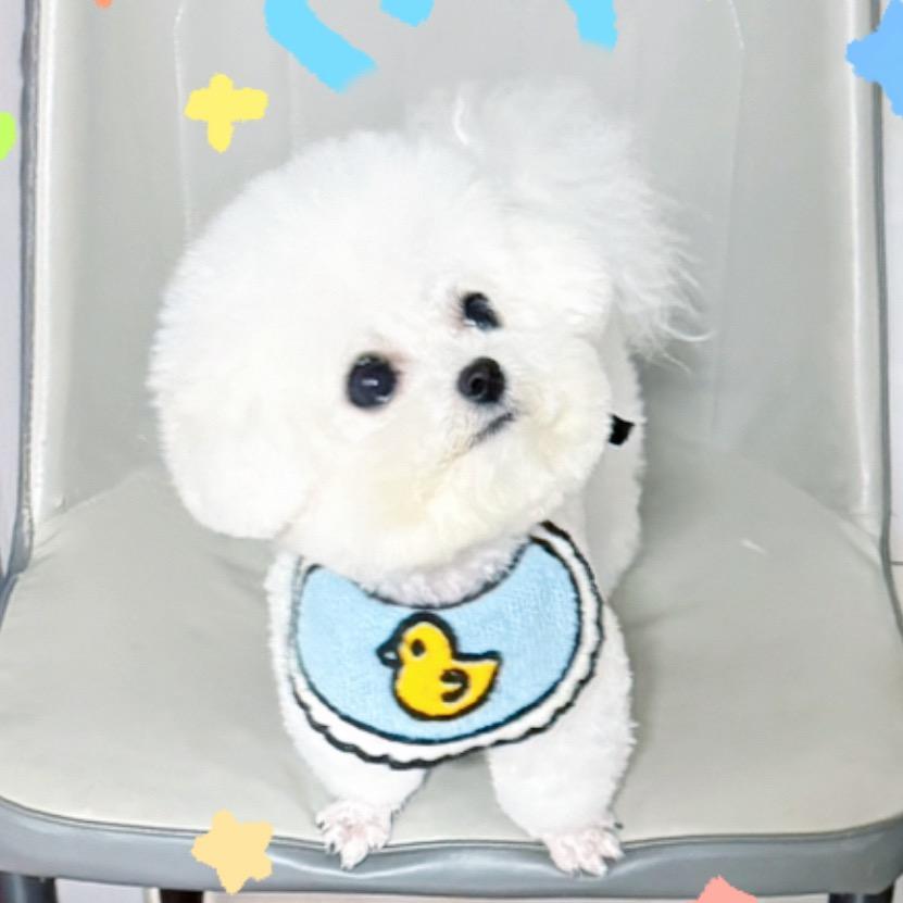 枕月