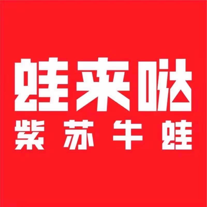 蛙来哒（德思勤店）