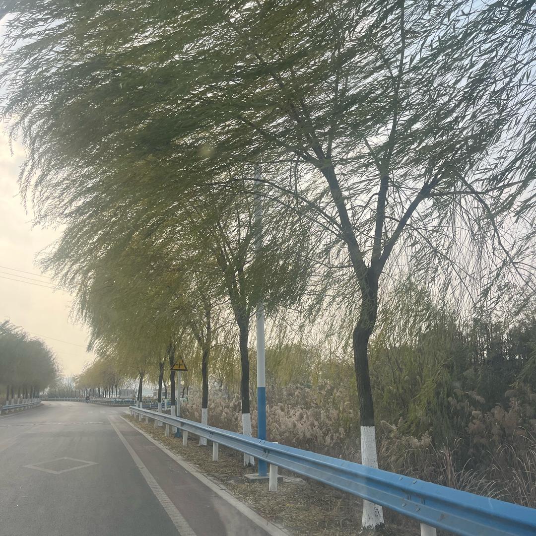 随心所欲；顺其自然！