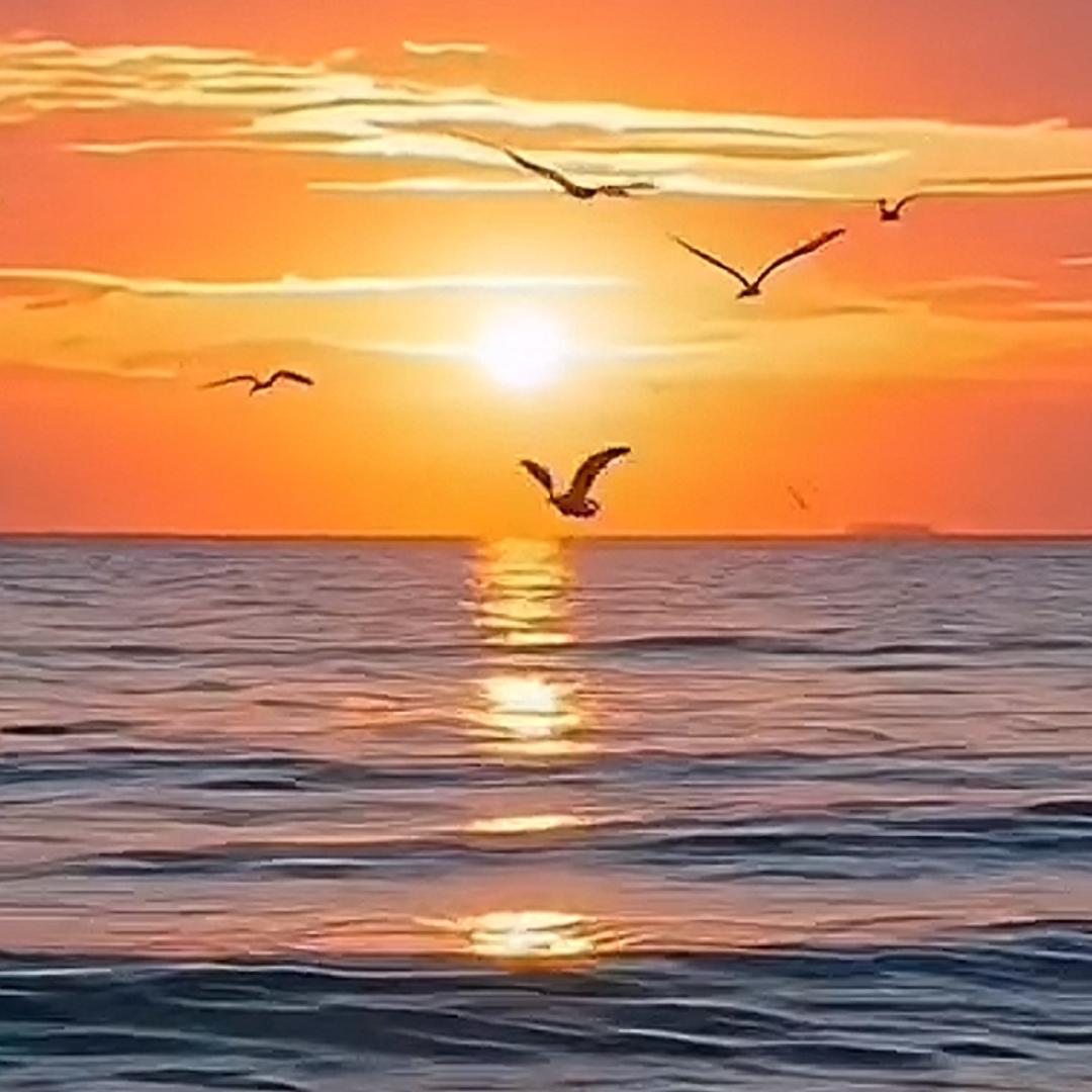 海平面²⁷¹