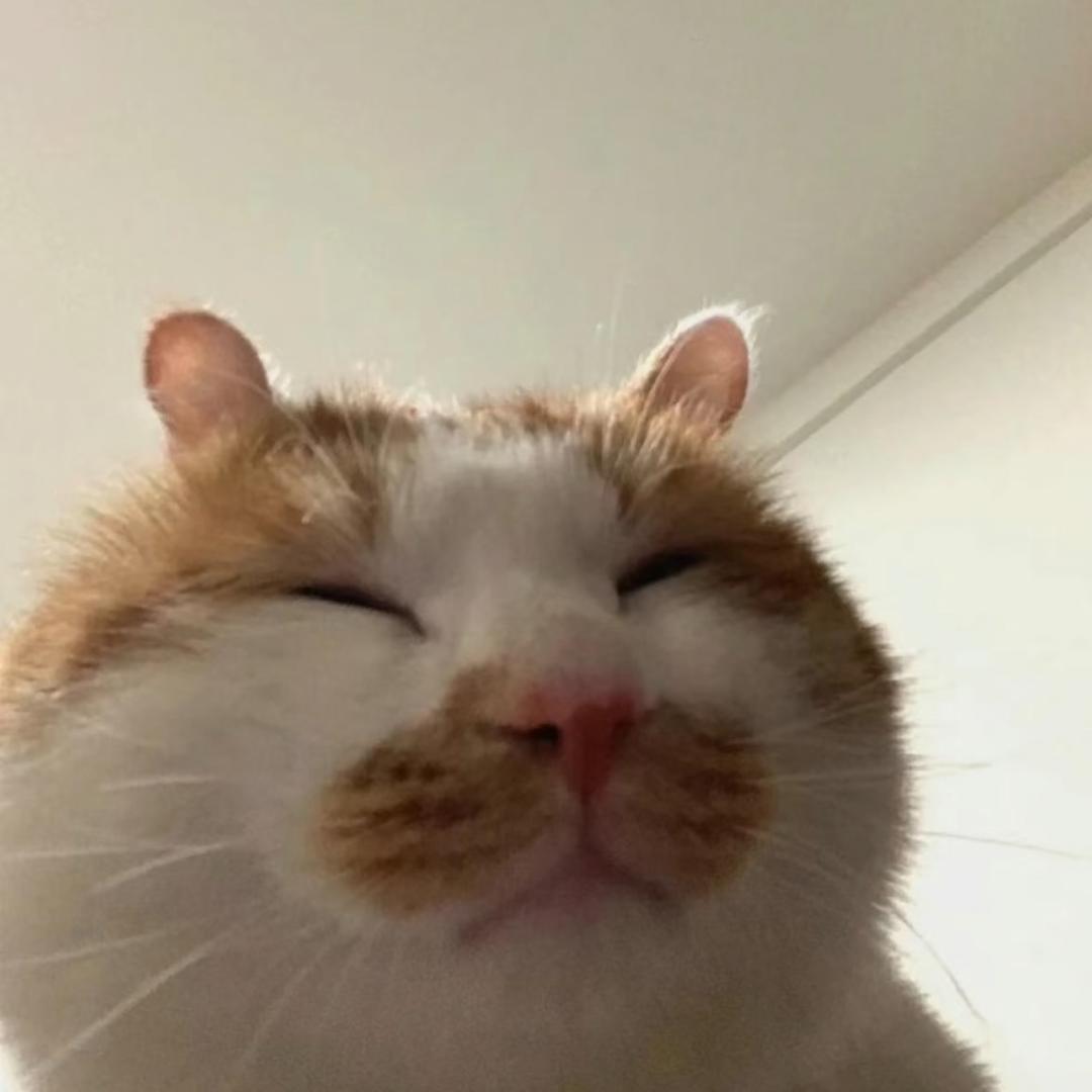 没吃饱的小鱼干