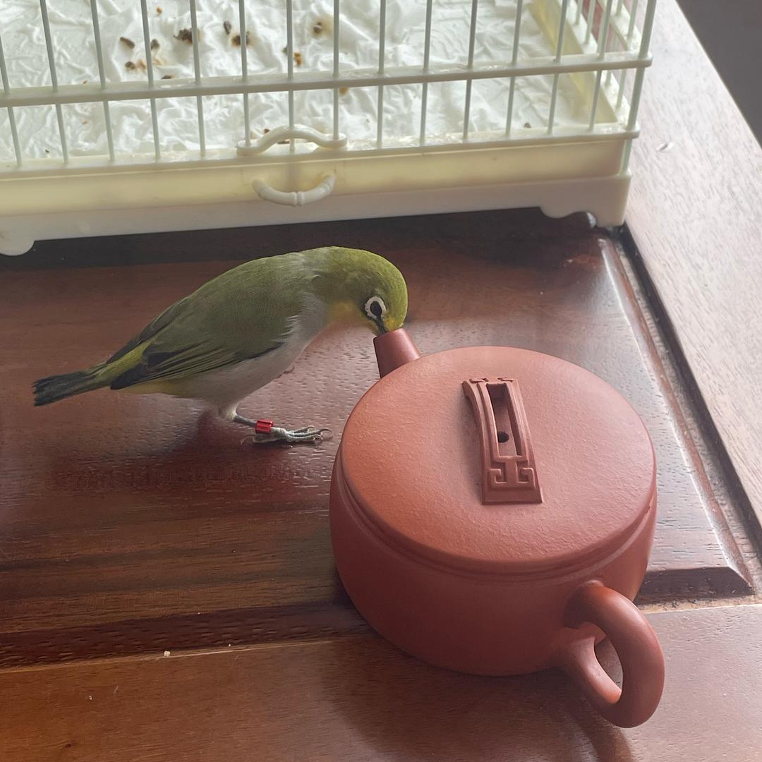 苍井 老师 💯的幸福