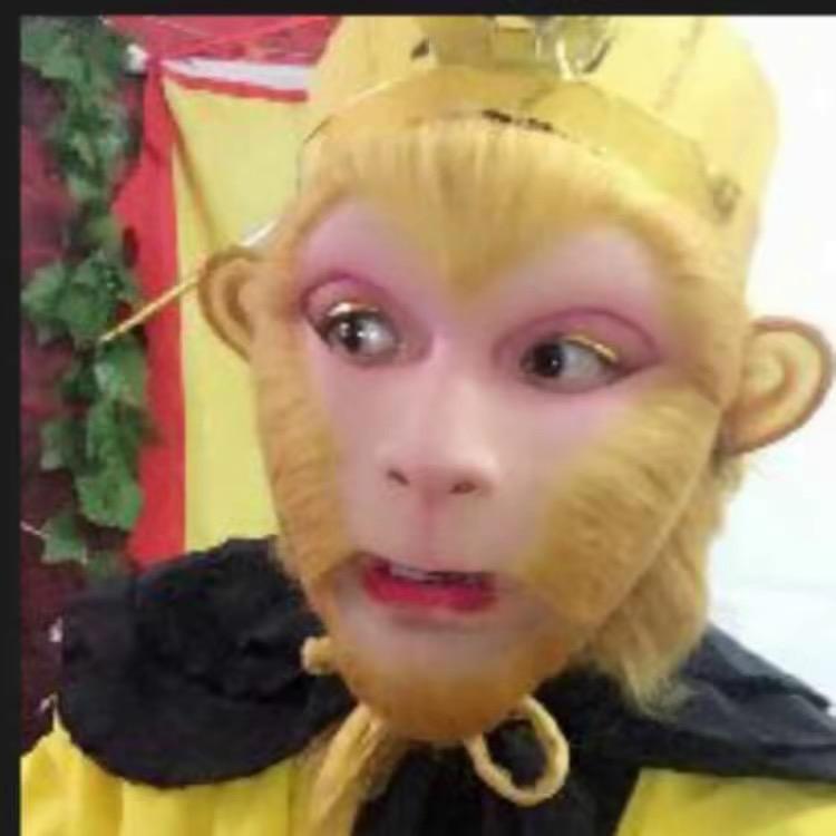 菠萝猴