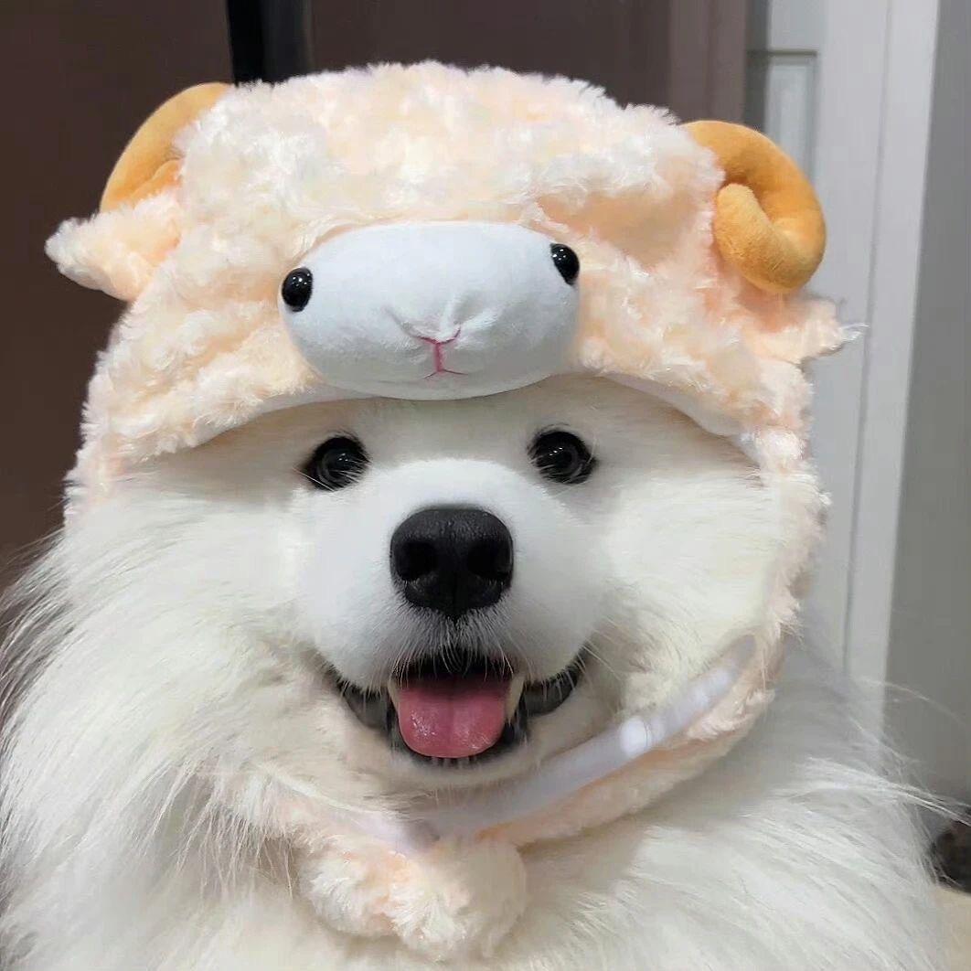 扣1教你骂人