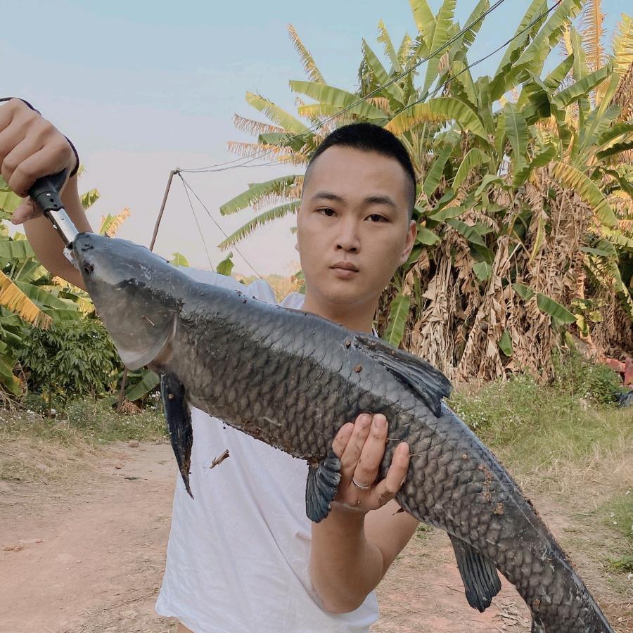 杰仔钓鱼