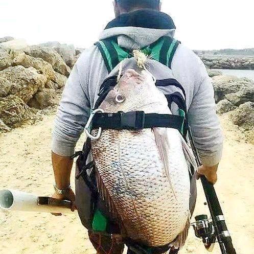 钓鱼人🎣小伟