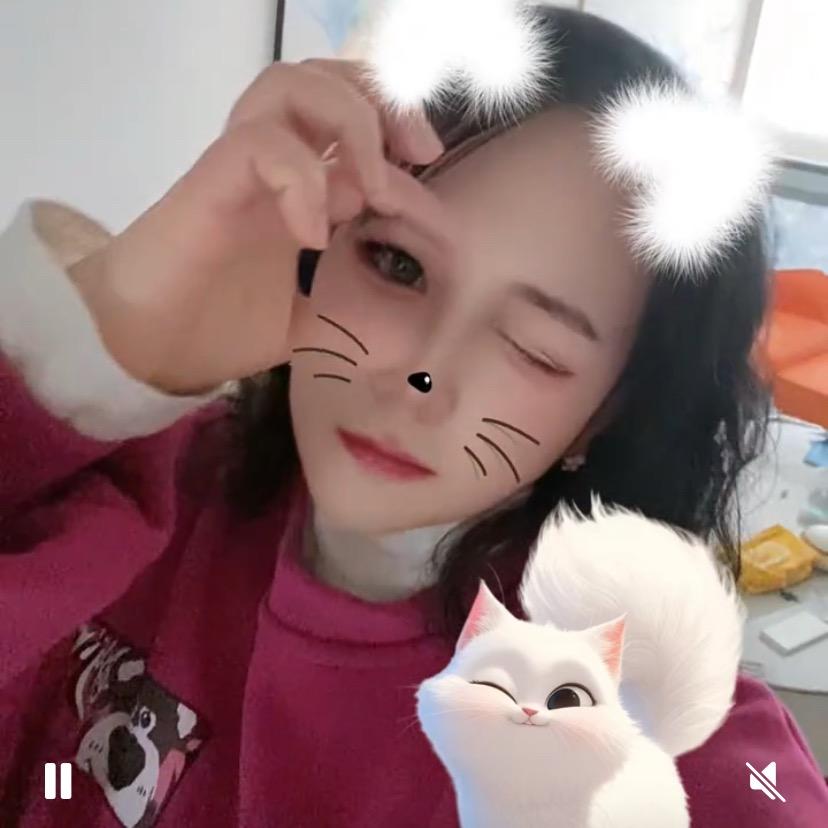 开心每一天