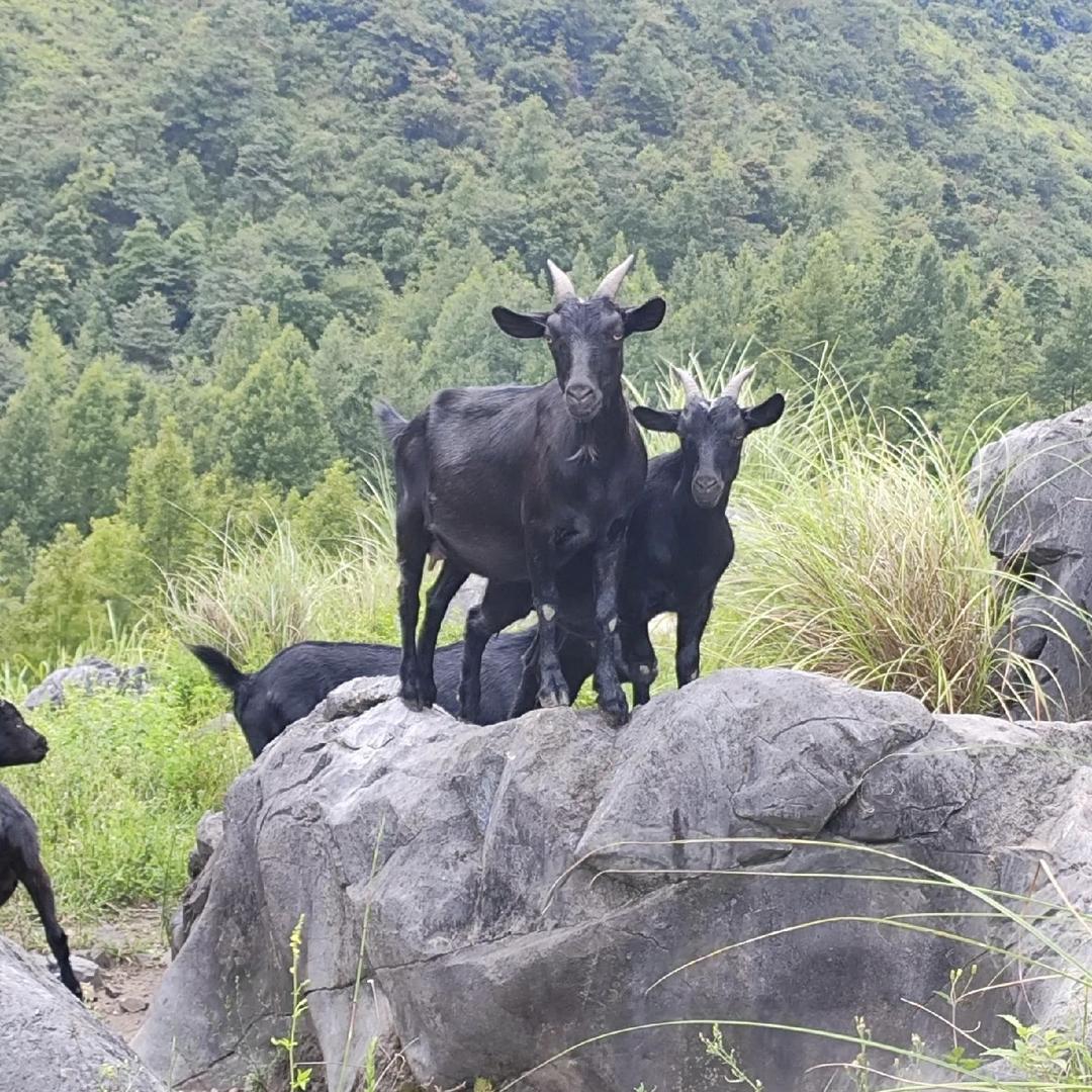 广西供销美物达