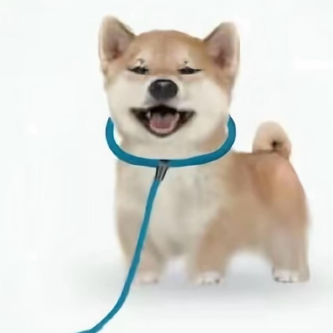 懒羊羊踩着沸羊羊脸当美羊羊的面强吻喜羊羊