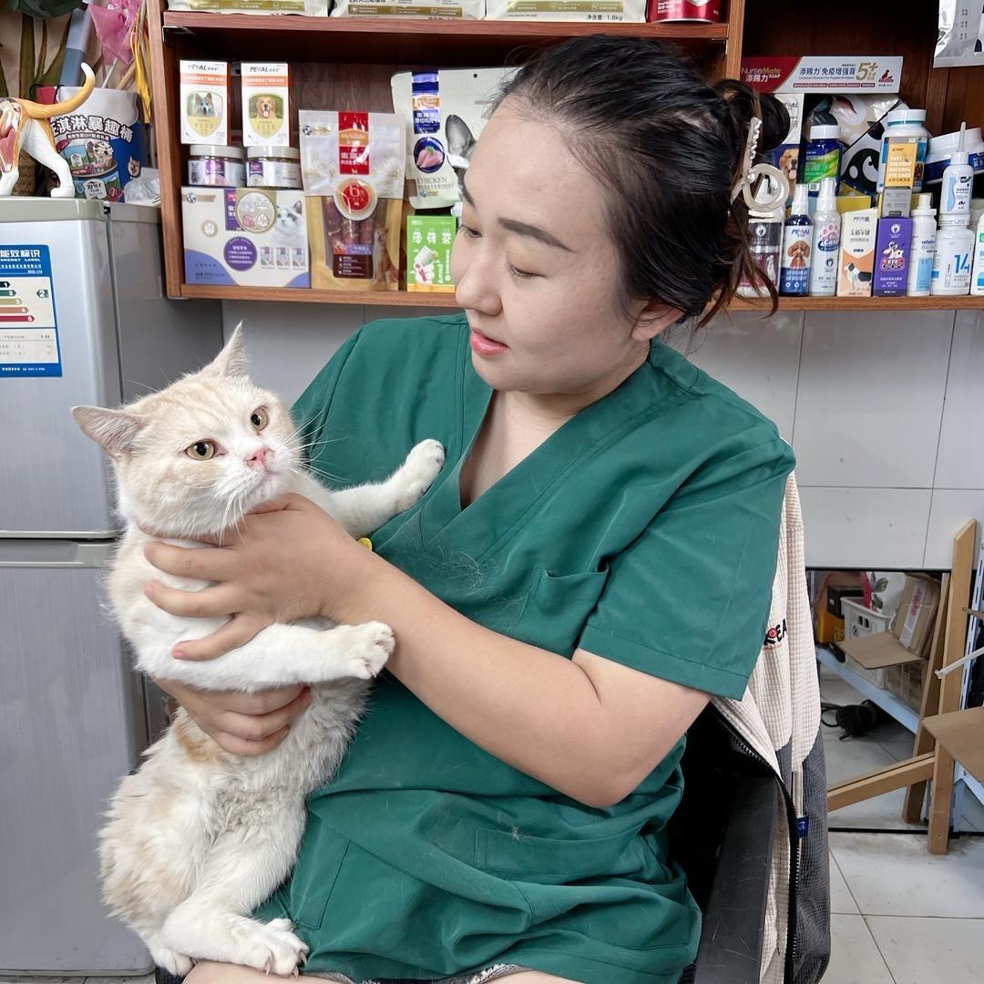 大萱子养猫