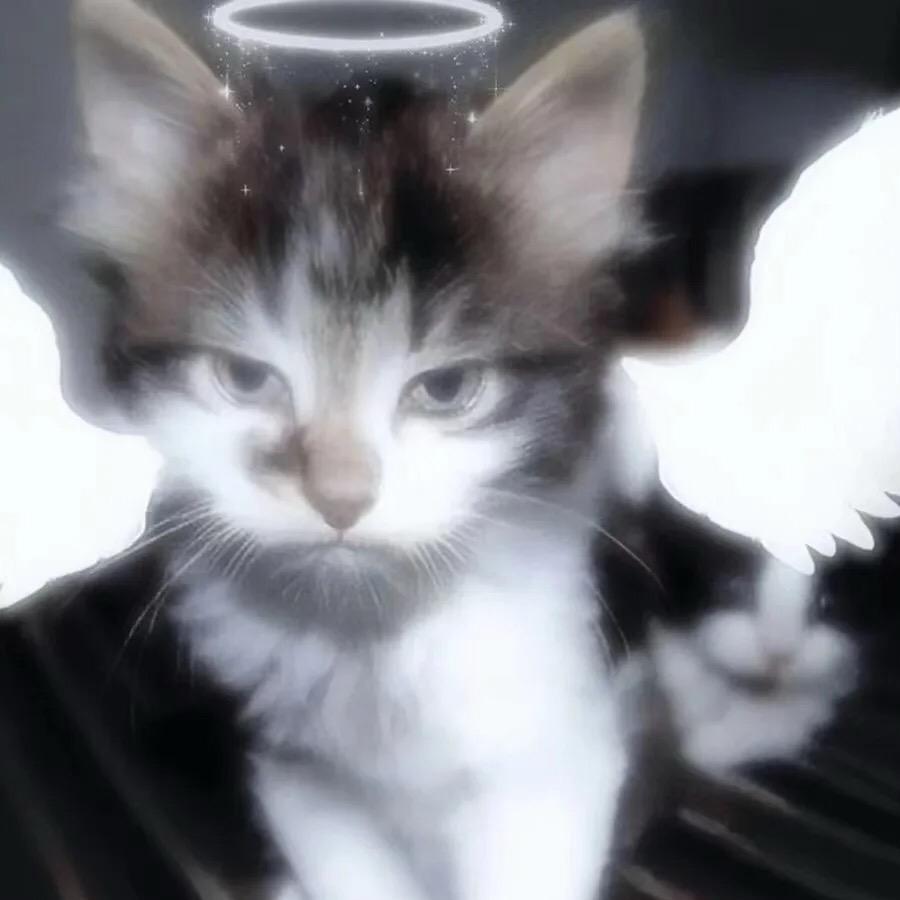 Whiskey