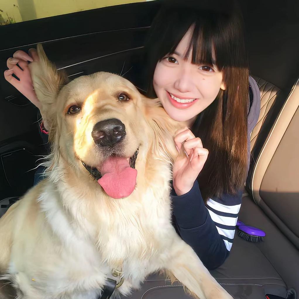 ㅤㅤ ㅤㅤㅤㅤ ㅤㅤㅤㅤ