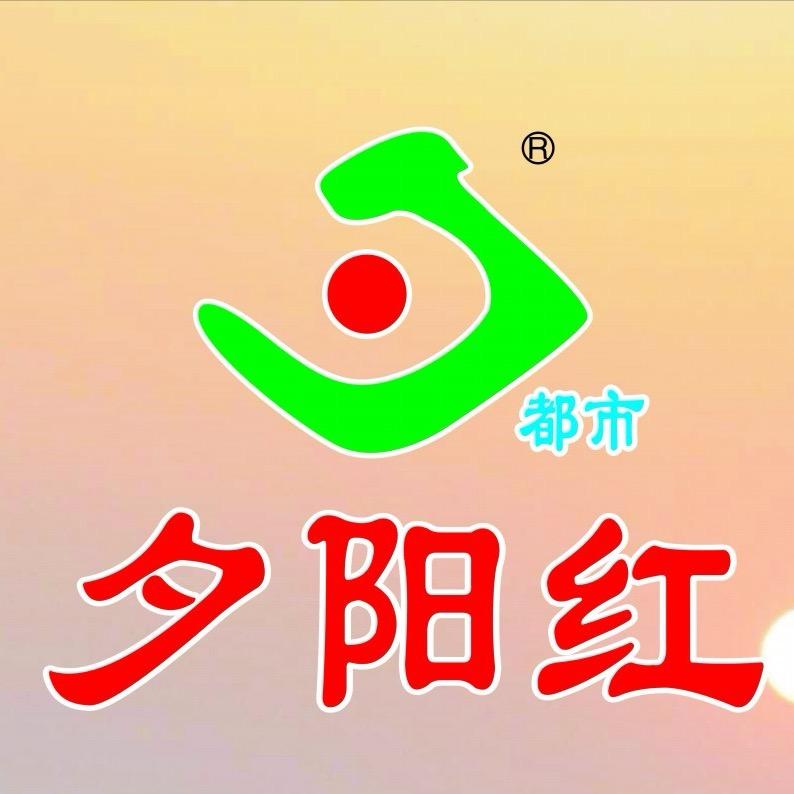 都市夕阳红中老年批发