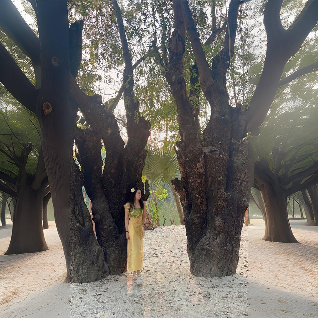 欧莎莉格实体品牌女装 亚