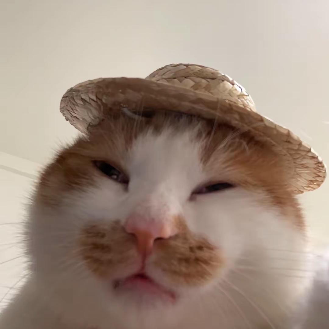 麦糯