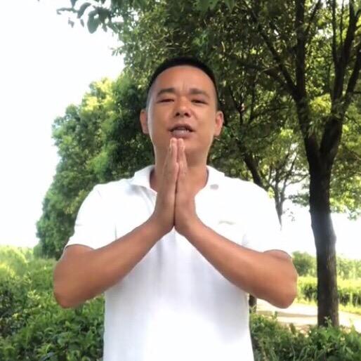 孝昌黑哥茶叶种植