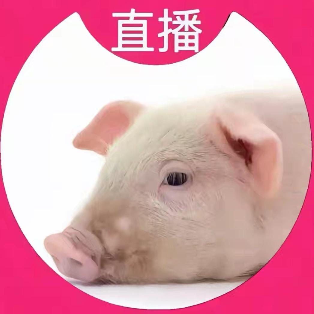 阿三姐