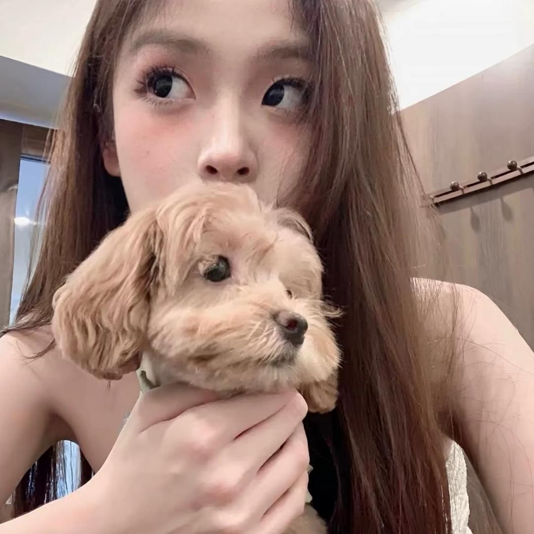 比丰田还霸道的女人