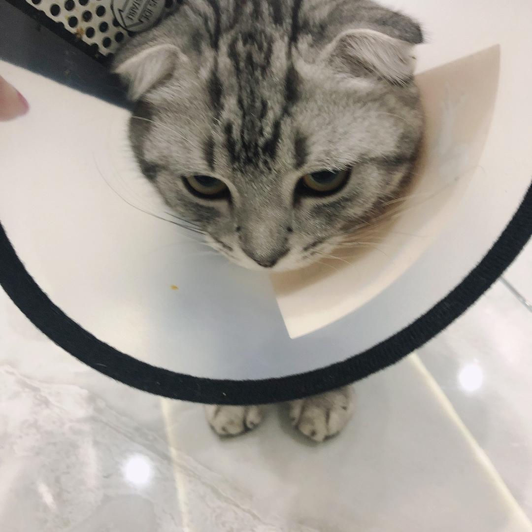 最美老太太（拒绝聊天）