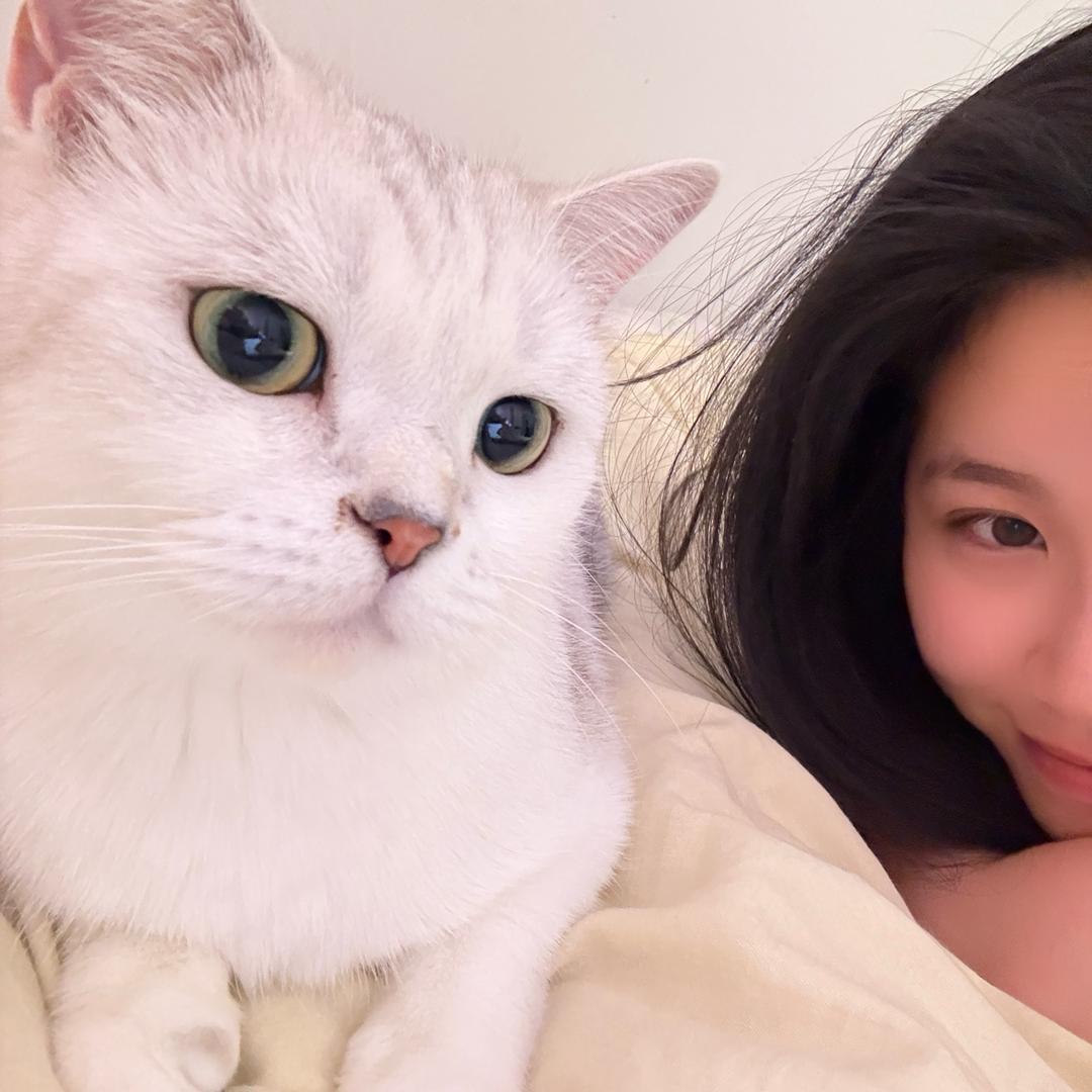 椰椰