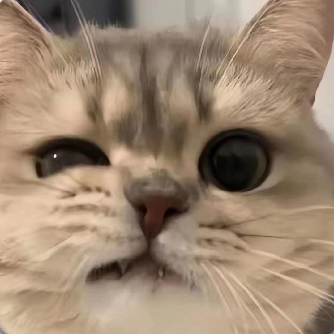 爱喝气泡水的小明