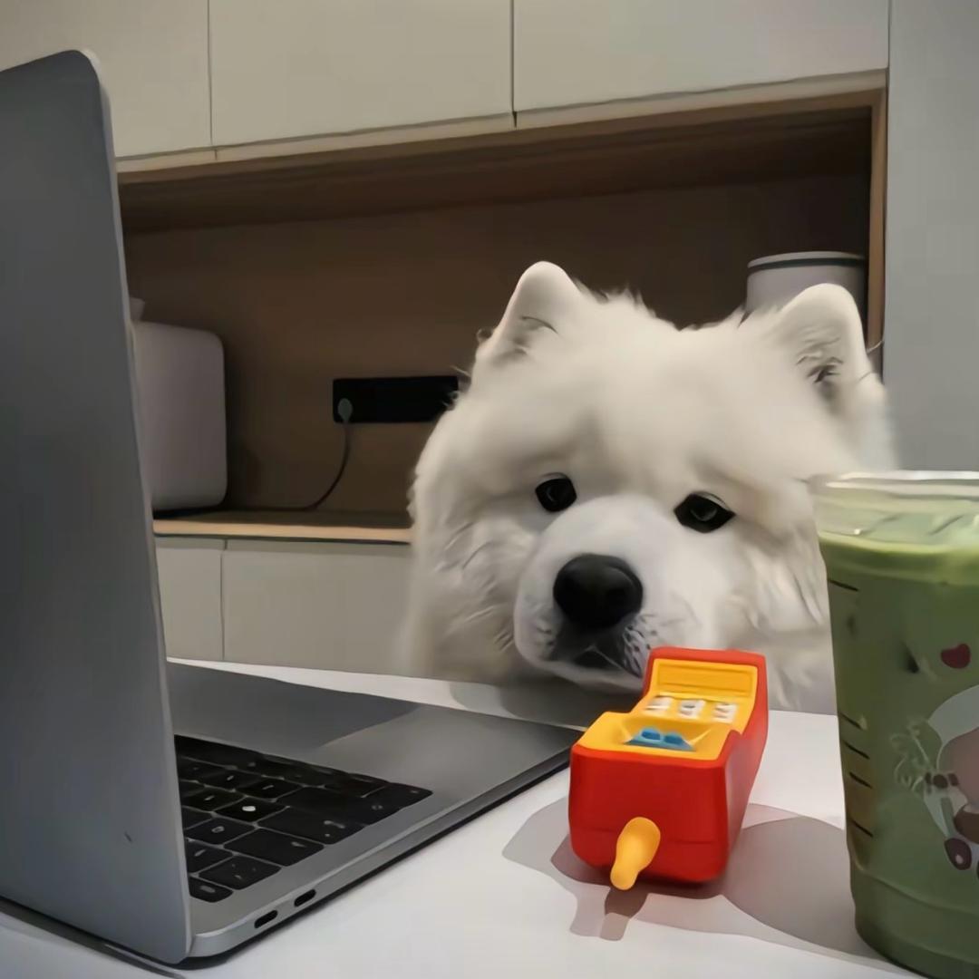十七.