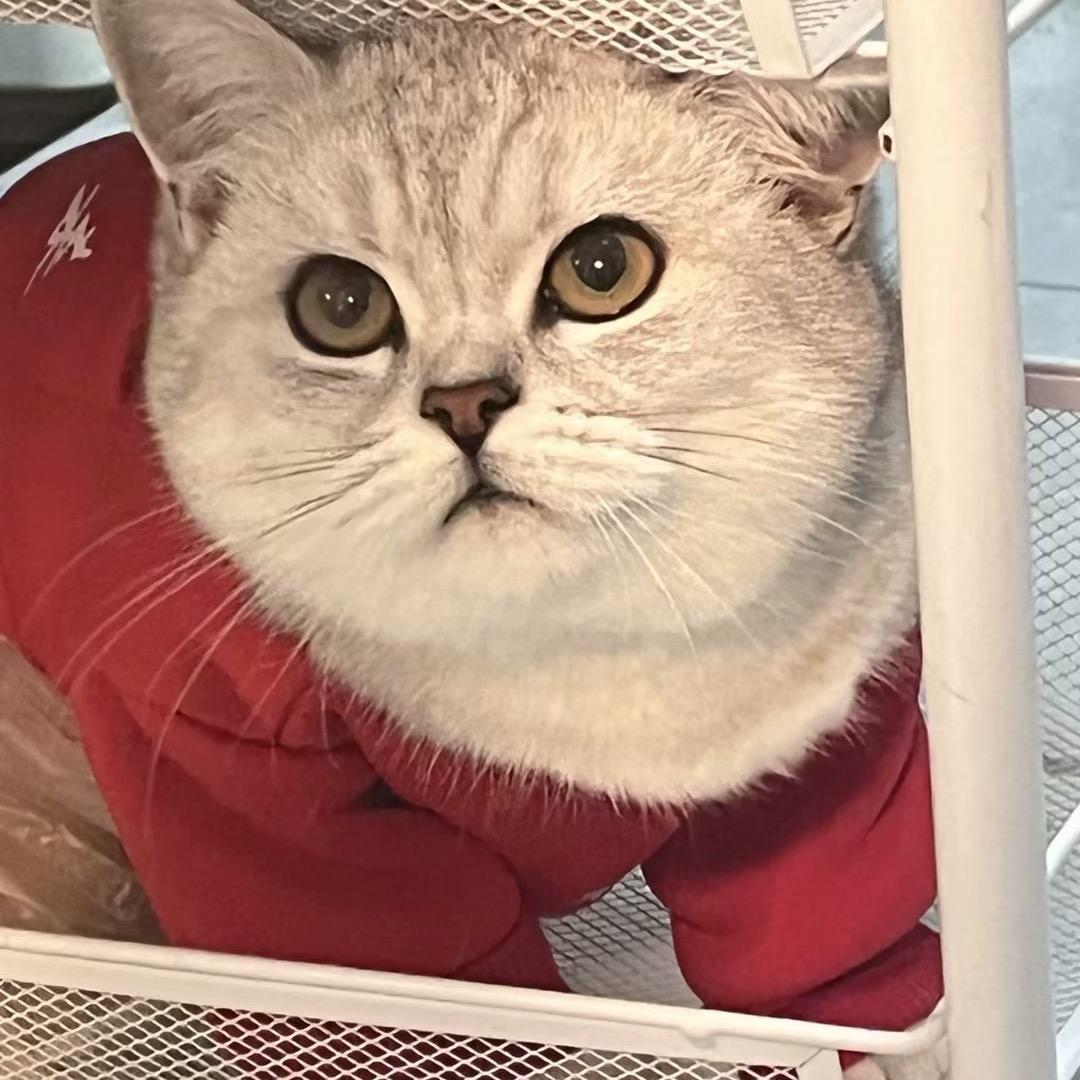 一七二的小张同学