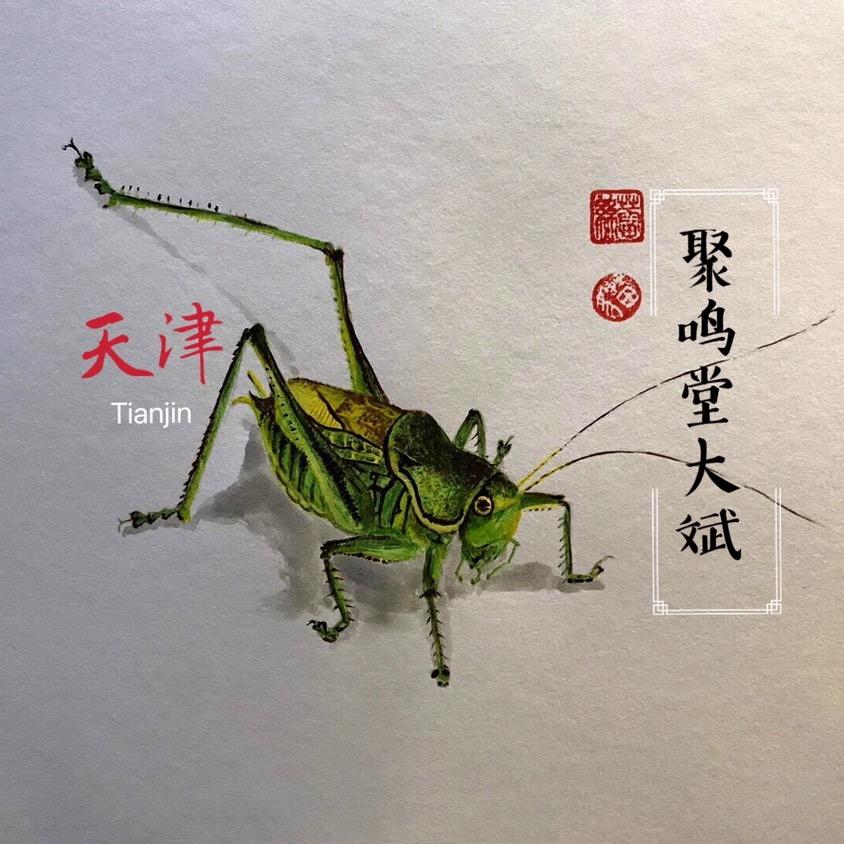 鸣堂优选大斌
