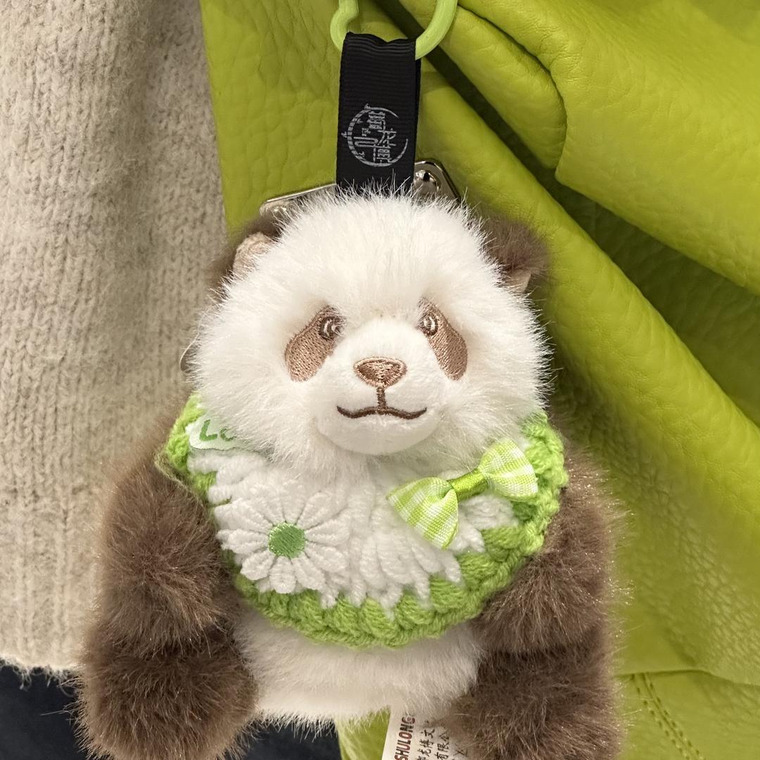 成都蜀龙博熊猫官方直播间