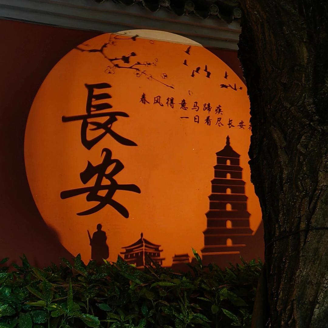 西安旅游兵马俑（品质出行）