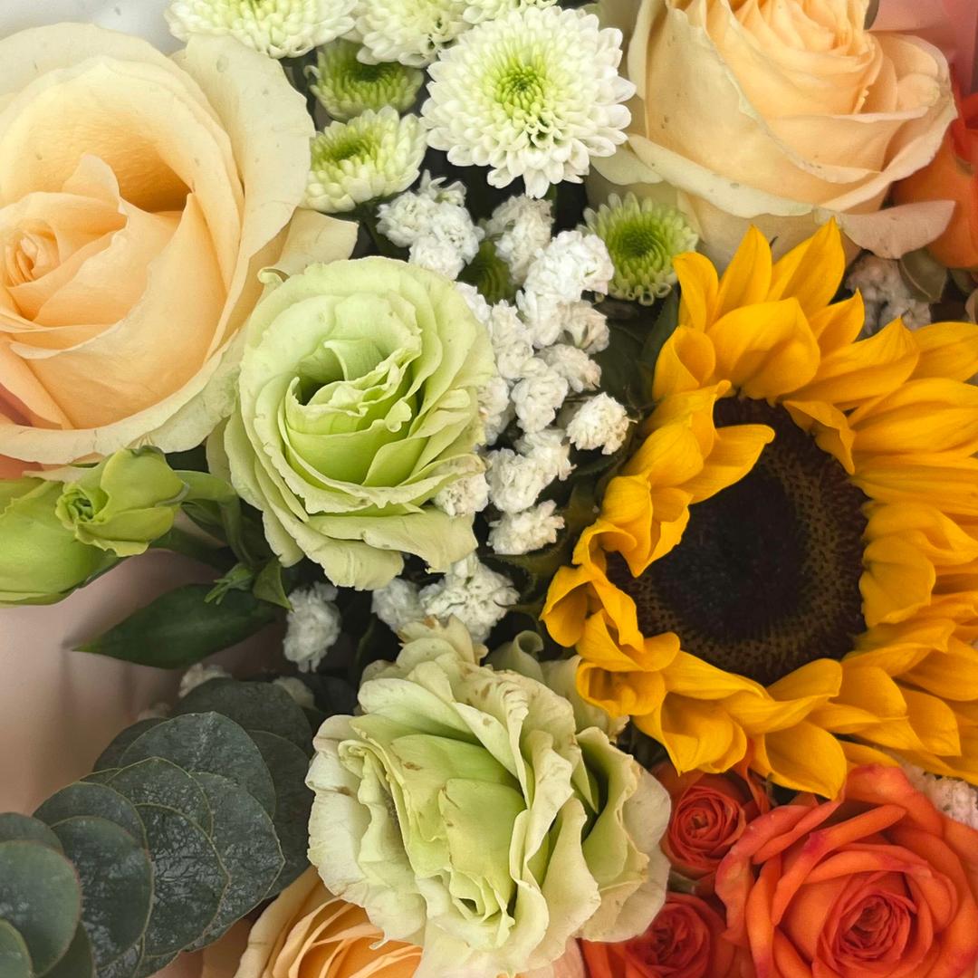 小娟“好物推荐”