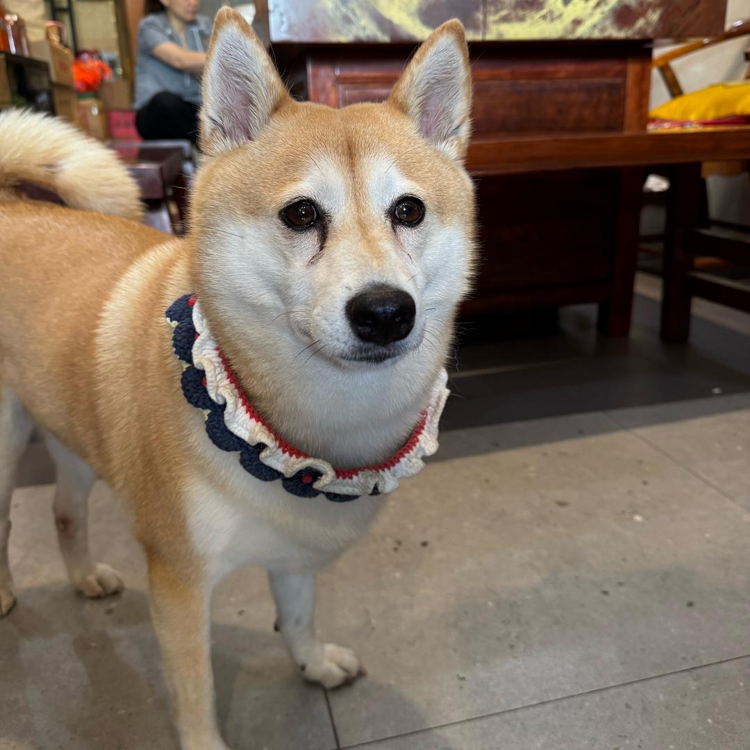 小明的解忧小商铺