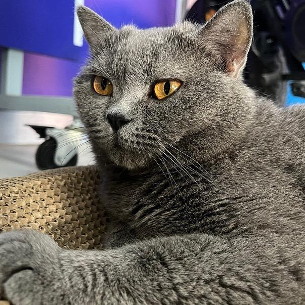 勉县婷为瑜尼网络工作室