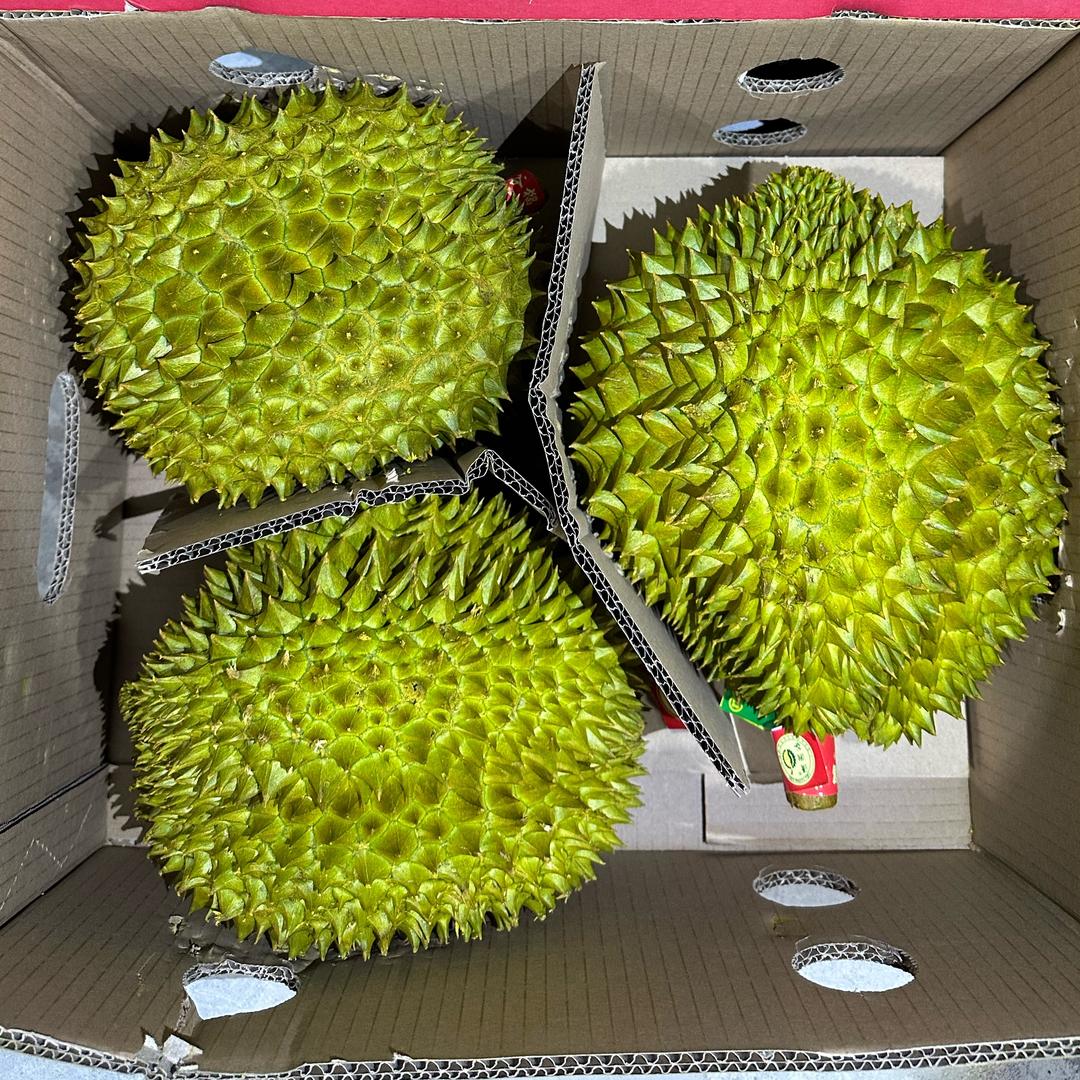 悬梁壹梦
