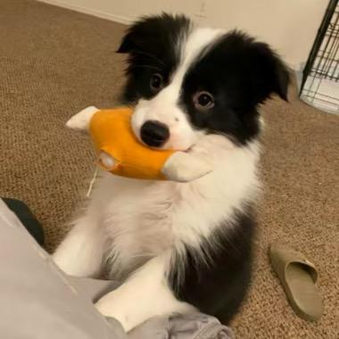 不回家吃晚饭的老男人被老婆拳打脚踢