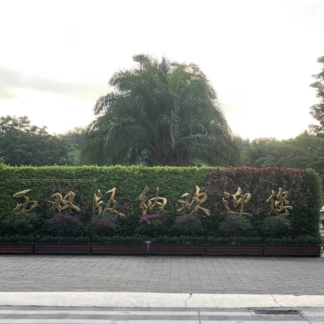 @泡泡🫧