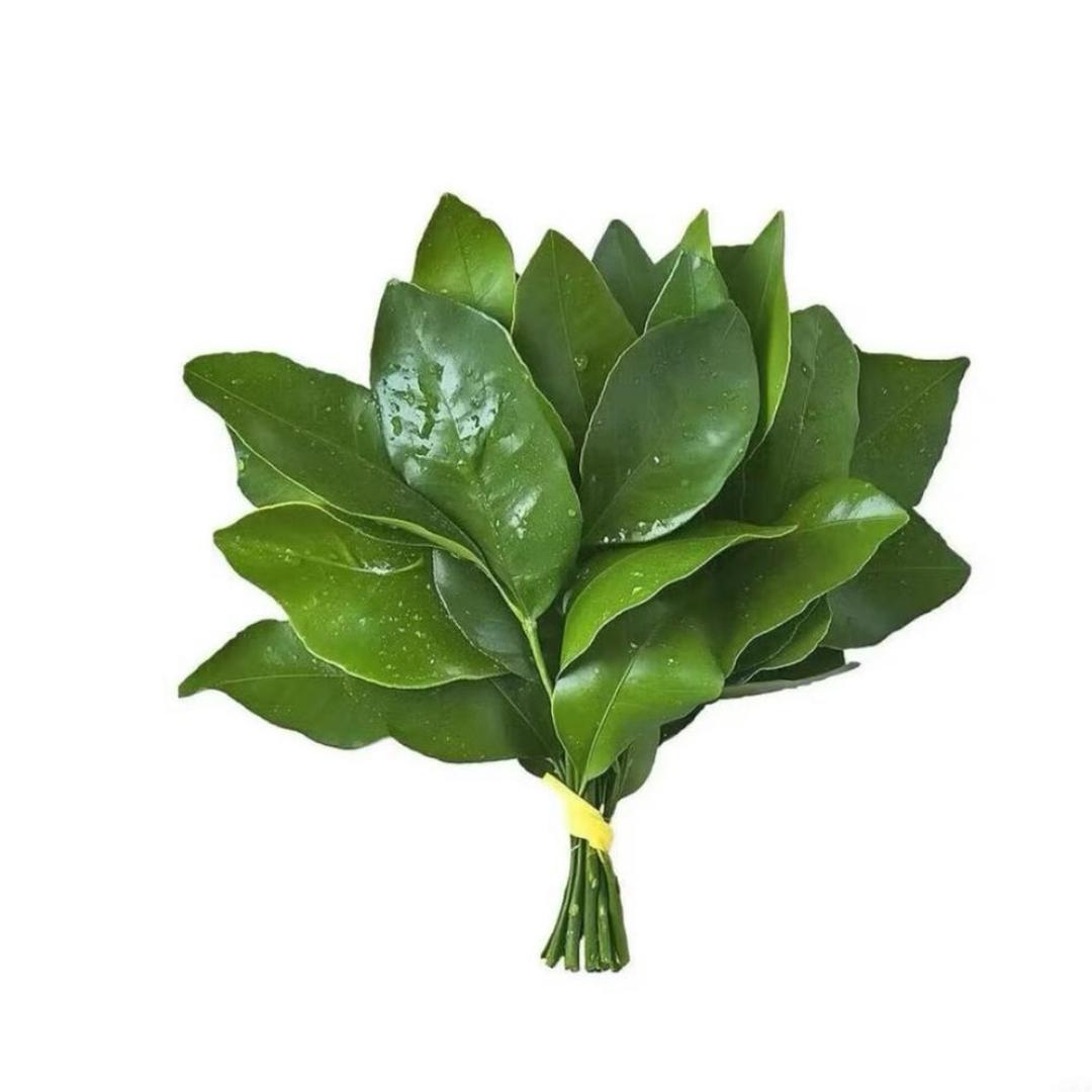 我是晨子