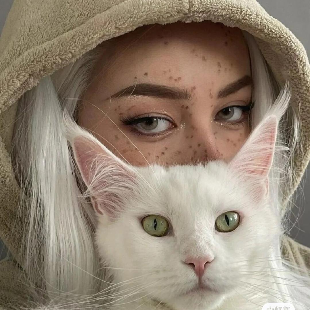 一支喵🐱