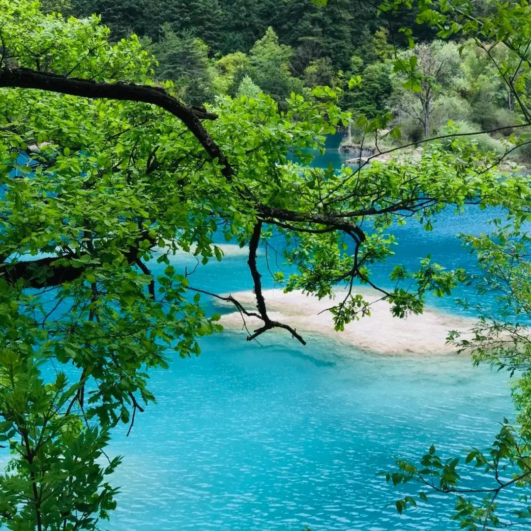 霞水相印