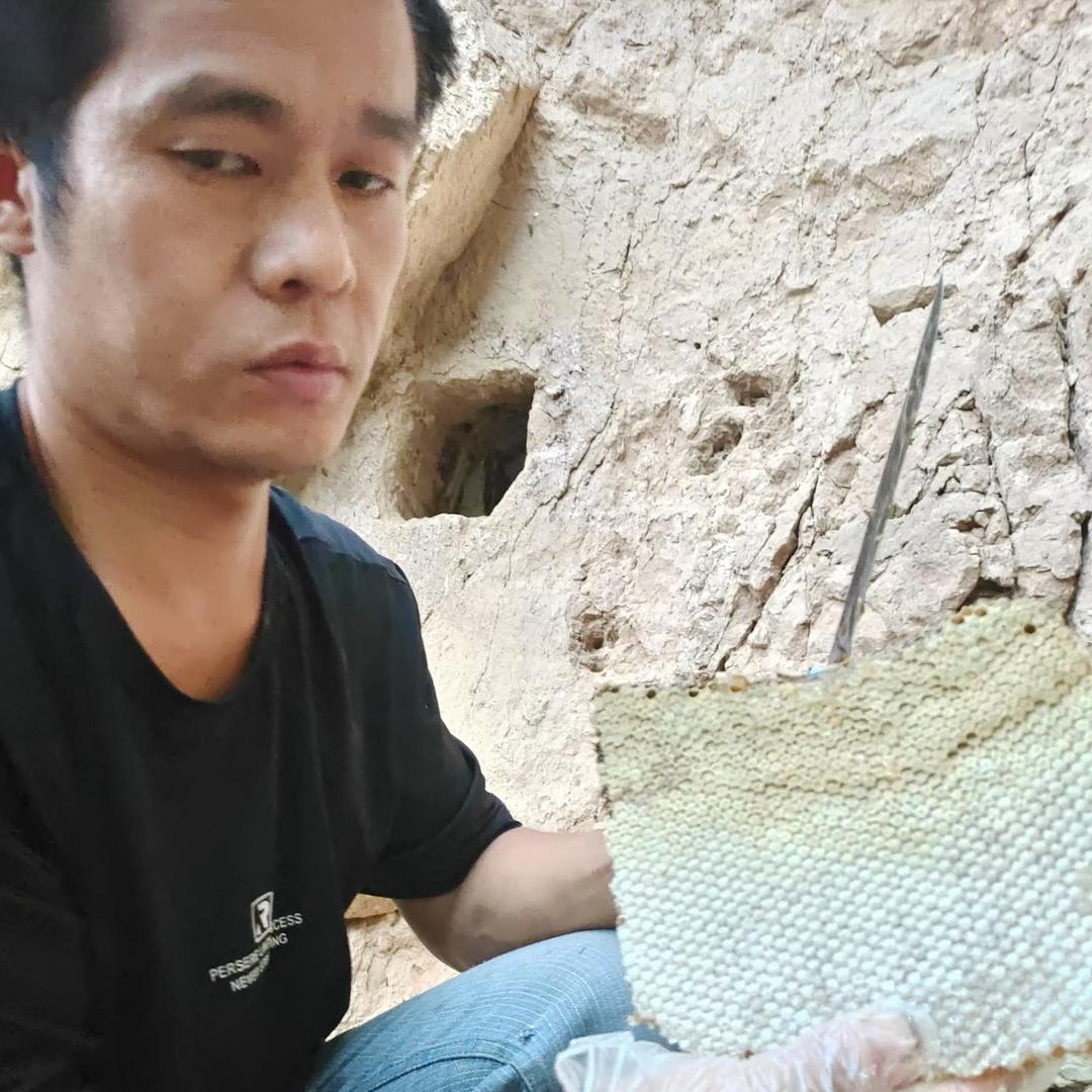 比质量没输过