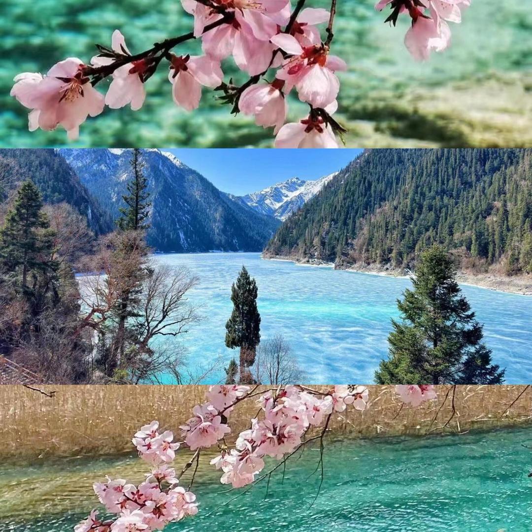 小白龙旅行记