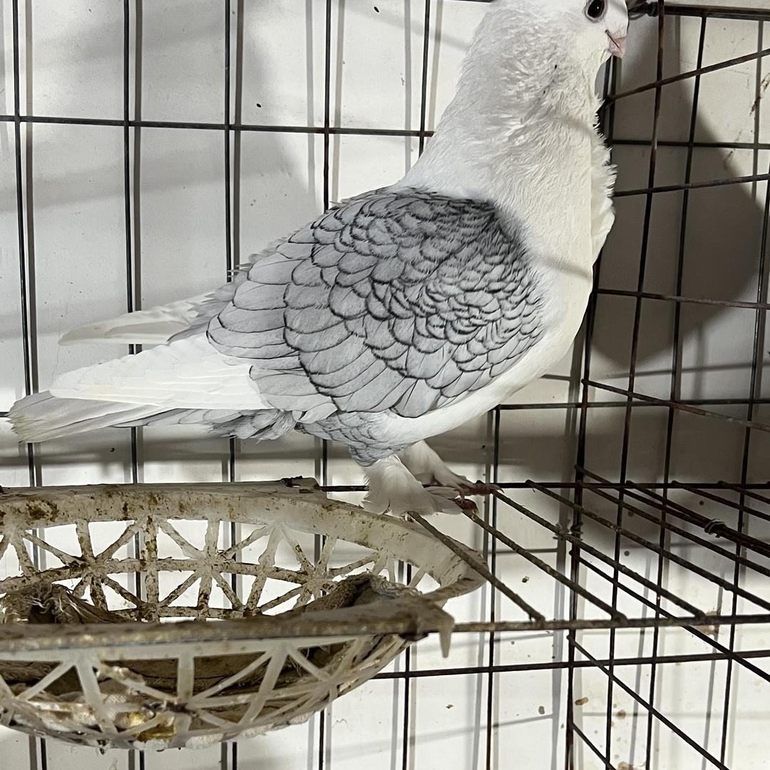 恒欢商贸生态优品店