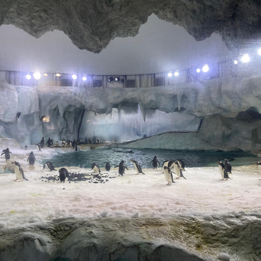 奢金轩饰品旗舰店