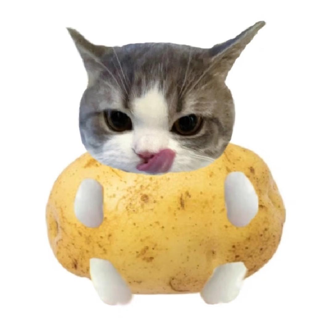 做饭制的小女子