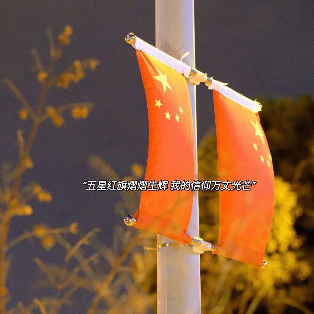 小灰灰