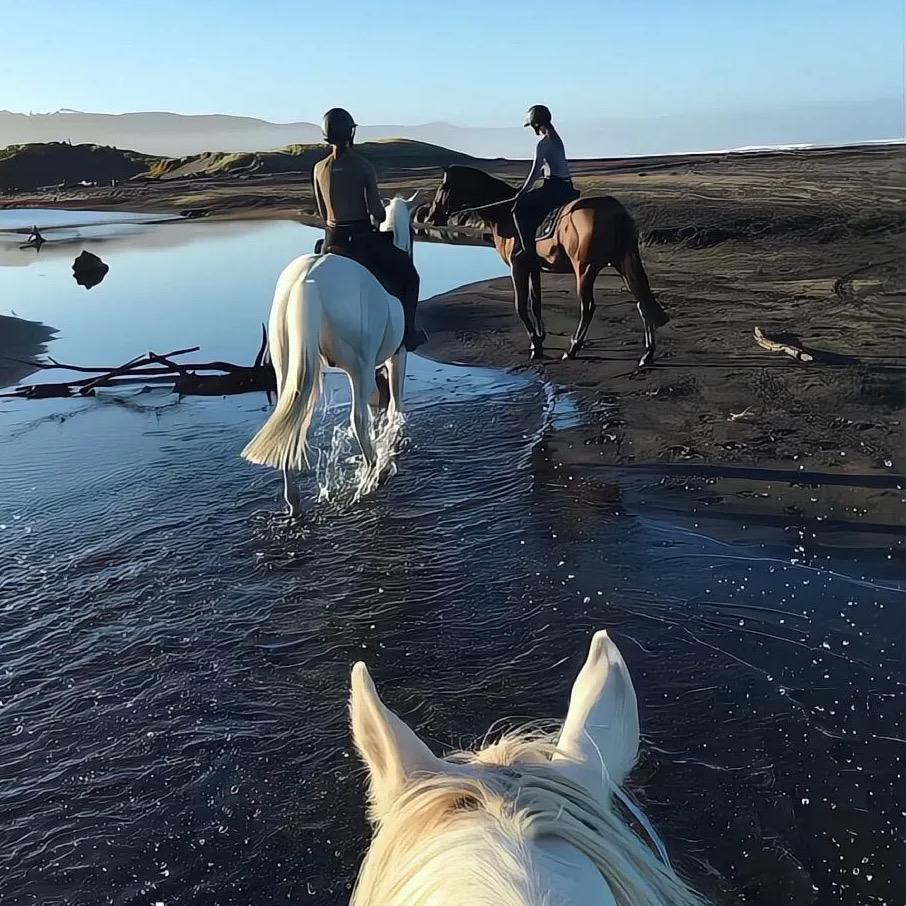 🌈放屁如同风铃般优雅的男子